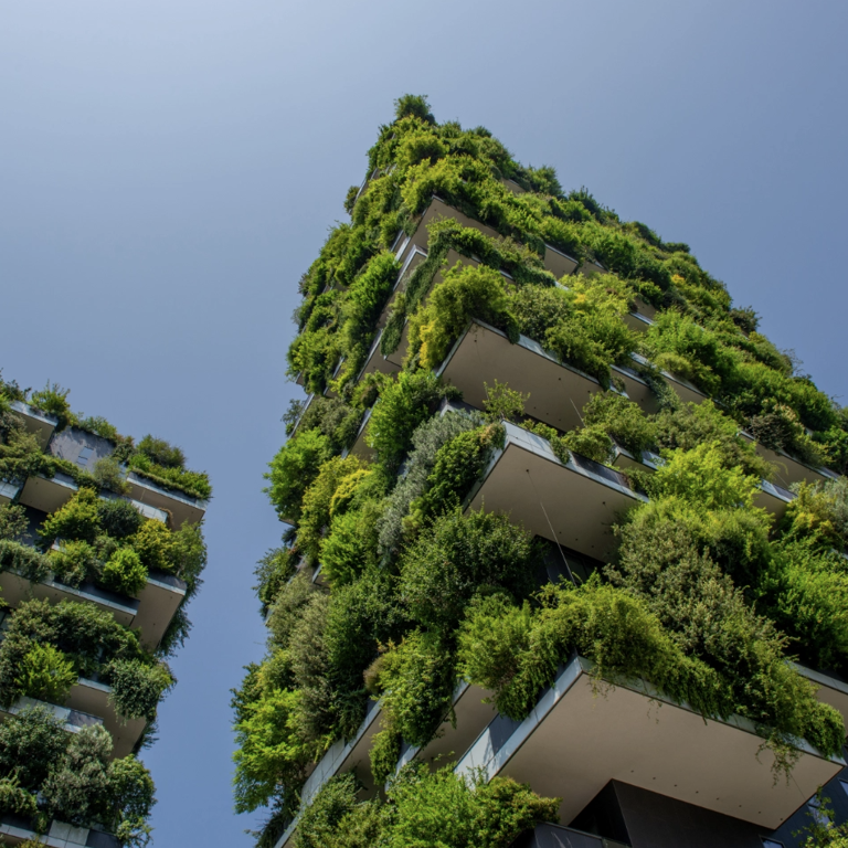 Delivering Net Zero Carbon in the Workplace